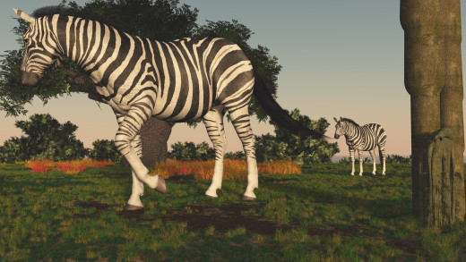 903647 (a): :2800x1575